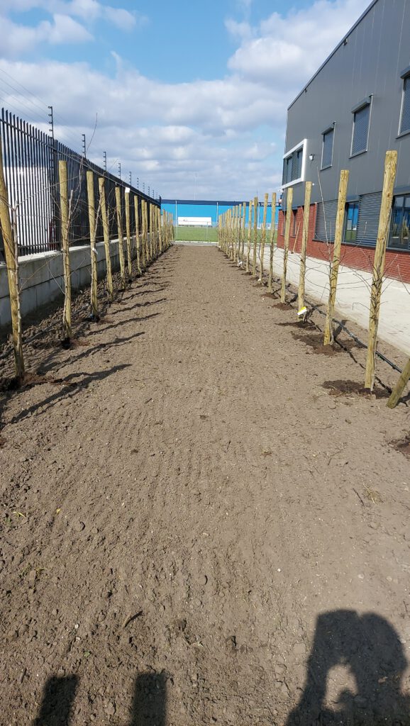 Testlocatie